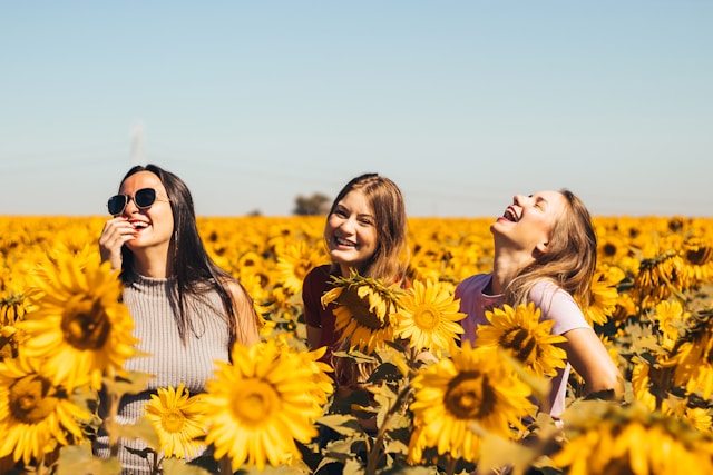 Group stock photo
